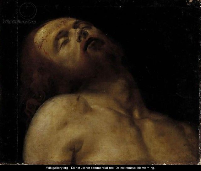 Study Of A Dead Christ, Head And Shoulders - Venetian School