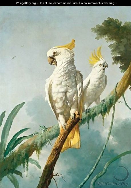 A Pair Of Sulphur-Crested Cockatoos - (after) Jacques Barraband