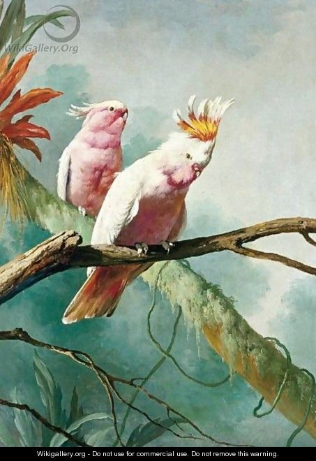 A Pair Of Leadbeaters Cockatoos - (after) Jacques Barraband