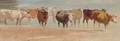 Cattle In A Stream - David Cox