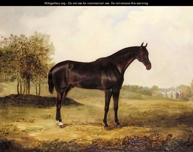 Bay Horse In A Landscape - Henry Calvert