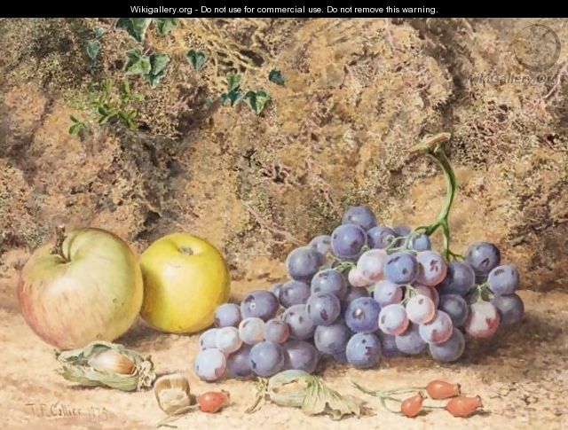 Still Life Of Apples And Grapes - Thomas Collier