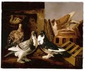 Still Life Of Two Courting Doves, A Partridge And Her Chicks, And A Further Dove Beyond Perched On A Jar - Jacomo (or Victor, Jacobus) Victors