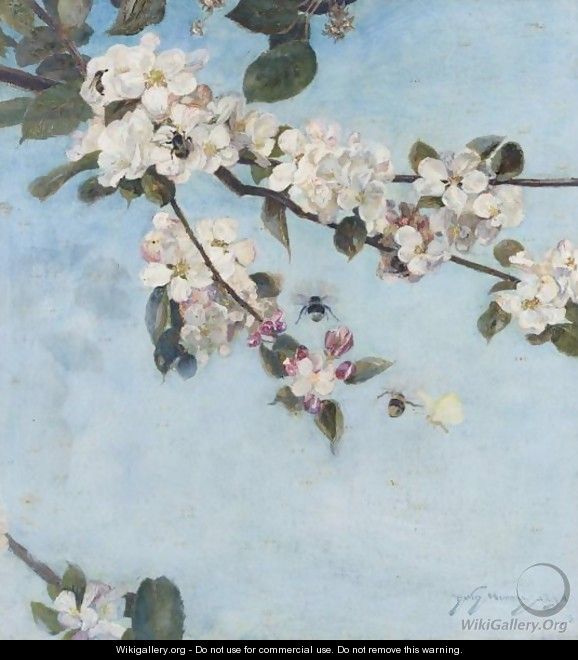 Apple Blossom - David Murray