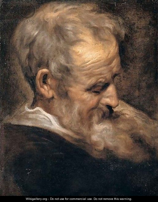 Portrait of an old man - (after) Dyck, Sir Anthony van