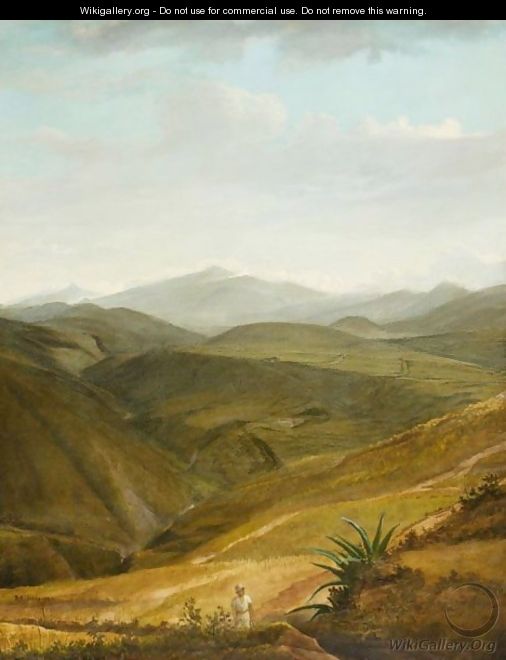 A Columbian Plantation - D.H. Verheyden