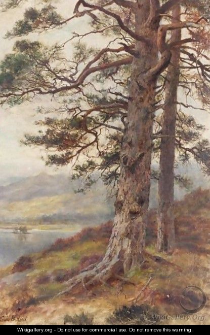 The Great Scots Pine - Louis Bosworth Hurt