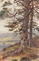 The Great Scots Pine - Louis Bosworth Hurt