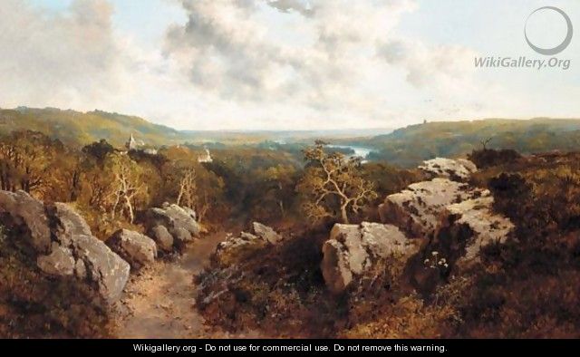 A Rocky Pathway - Edward H. Niemann