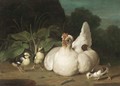 A Hen And Chicks In A Landscape - Jacob Samuel Beck