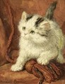 The Fly - Henriette Ronner-Knip