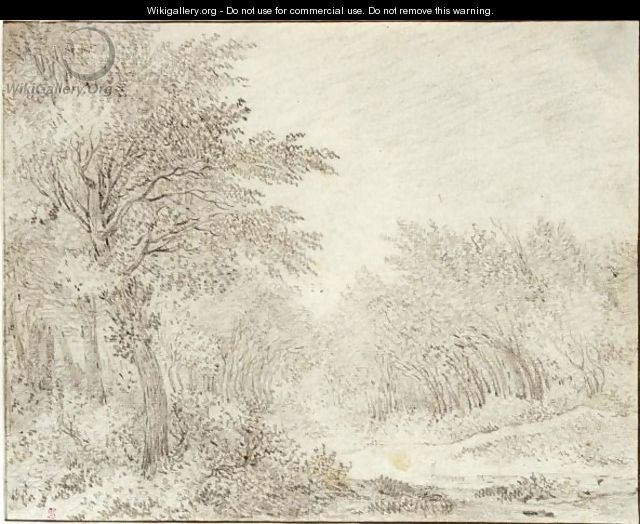 Wooded Landscape With A Path - Guillam Dubois