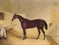 Mr William Orde's Bay Filly Bees-Wing In A Loose Box 2 - John Frederick Herring Snr