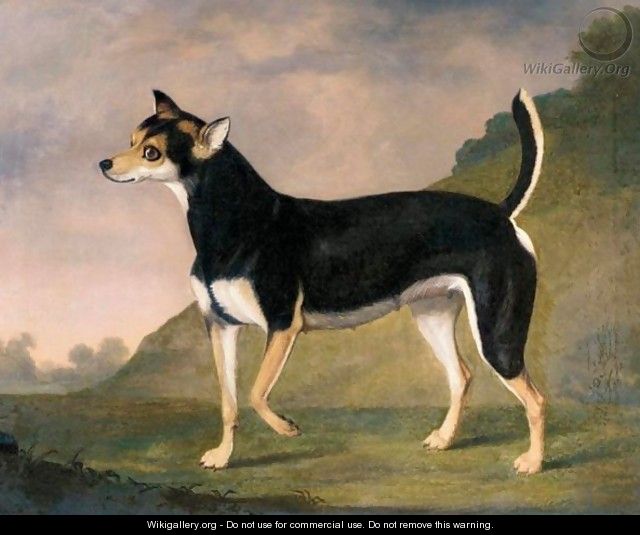 A Terrier In A Landscape - Francis Sartorius