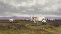 Landscape With Cow - Baldomer Galofre Giménez