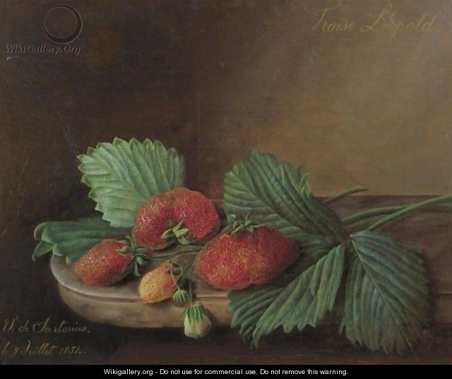 Still Life Of Strawberries Resting On A Ledge - Virginie de Sartorius