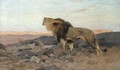 Roaring Lion - Wilhelm Kuhnert