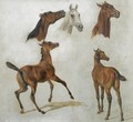 Pferdestudien (Horse Studies) - Adam Albrecht