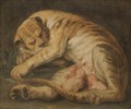 A Tigress Suckling Her Cubs - (after) Sir Peter Paul Rubens