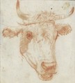 Study Of The Head Of A Cow - (after) Karel Dujardin