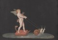 Cupid Drawn By Snails - Michelangelo Maestri