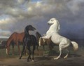 Stallions - Friedrich Anton Kilp