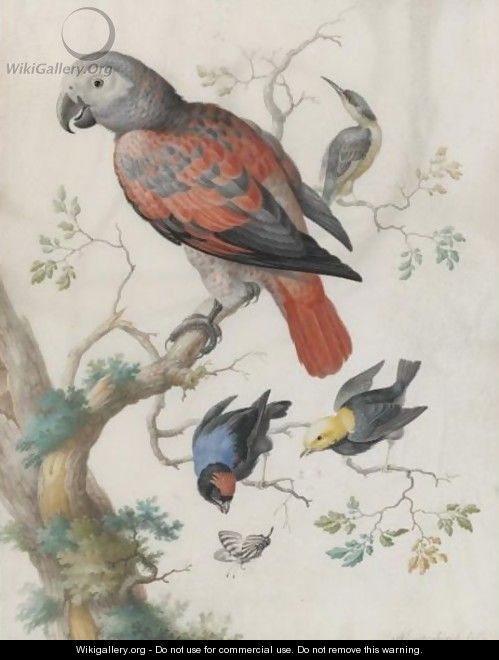 A Red And Gray Parrot, And Other Exotic Birds - Anton Henstenburgh