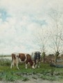 Cows At Pasture - Jan Vrolijk