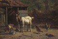 Goats And Chickens In A Yard - Simon Van Den Berg