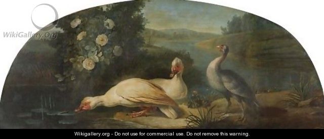 A River Landscape With Three Waterfowl - (after) Claude-Francois Desportes