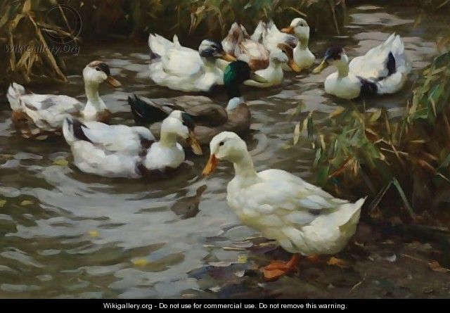 The Duck Pond - Alexander Max Koester