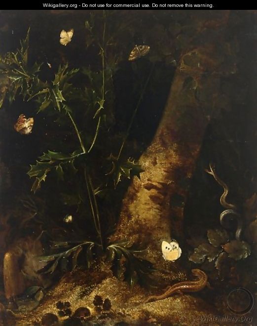 A Forest Floor Still Life With A Salamander, Snake And Various Butterflies Around A Thistle - Otto Marseus Van Schrieck