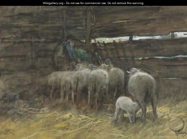 The Sheep Fold - Anton Mauve