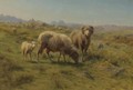 A Sheep, Ram And Lamb With The Flock - Rosa Bonheur