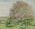Le Grand Noyer Au Printemps, Eragny - Camille Pissarro