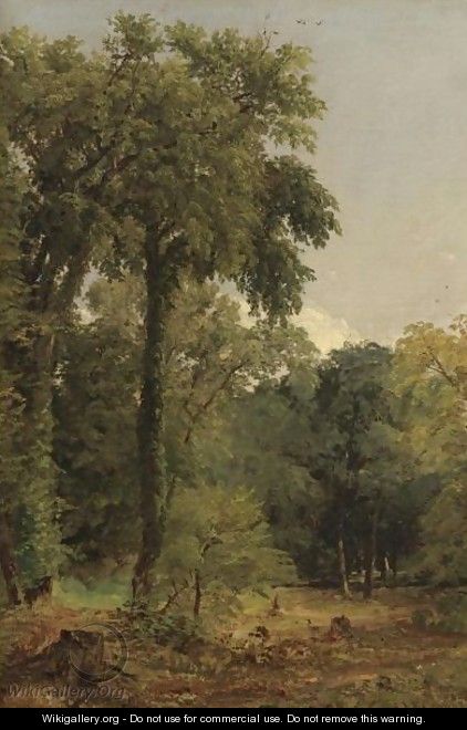 A Stand Of Trees - Jasper Francis Cropsey