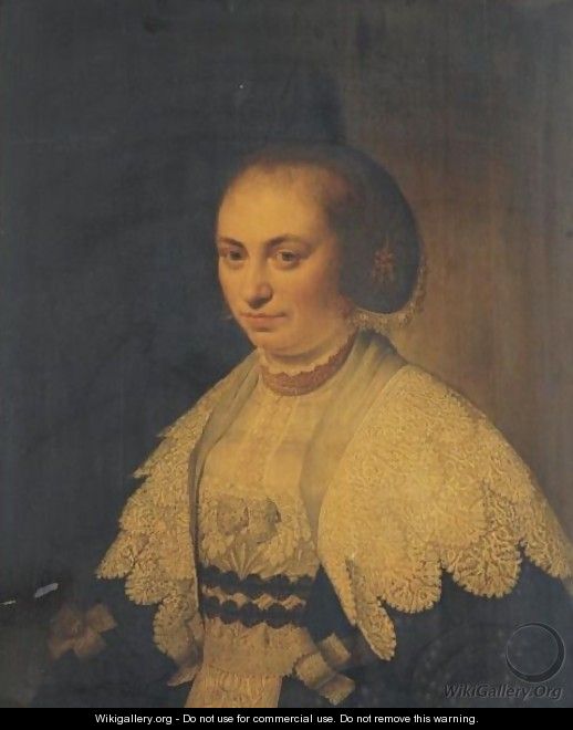 Portrait Of A Lady - Willem Willemsz. van der Vliet