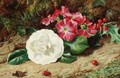 A Camelia On A Mossy Bank - (after) George Clare