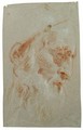 Testa Di Vecchio Barbuto Rivolta Verso Destra - Giovanni Battista Tiepolo