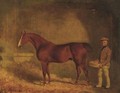 Chestnut Stallion With Groom - T. Temple