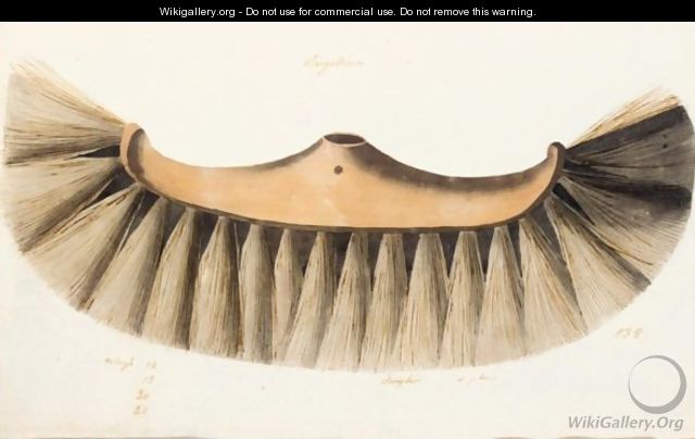Design For The Head Of A Floor Brush - French School