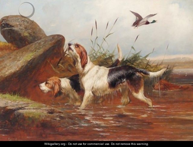 A Pair Of Otter Hounds - Colin Graeme Roe