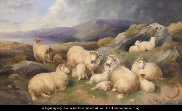 The Highland Flock - John Morris