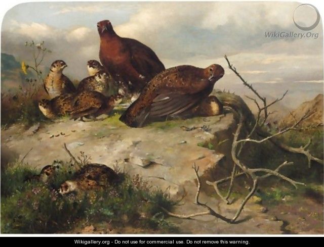 A Pair Of Red Grouse And Chicks - John Clement Bell