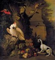 Still Life With Parrots, A Jay, A Woodpecker And A Finch, Together With A Spaniel And Various Fruits In A Parkland Setting - (after) Jakob Bogdany