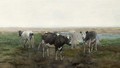 Cows In A Meadow 2 - Geo Poggenbeek
