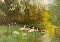 Ducks On The Riverbank - Geo Poggenbeek
