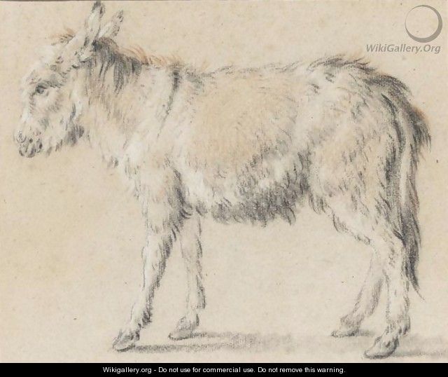 Study Of A Donkey - Jean-Baptiste Huet