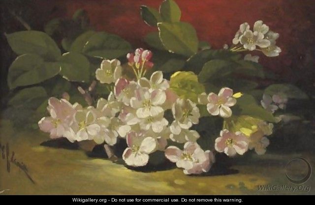 Apple Blossoms - Edward Chalmers Leavitt