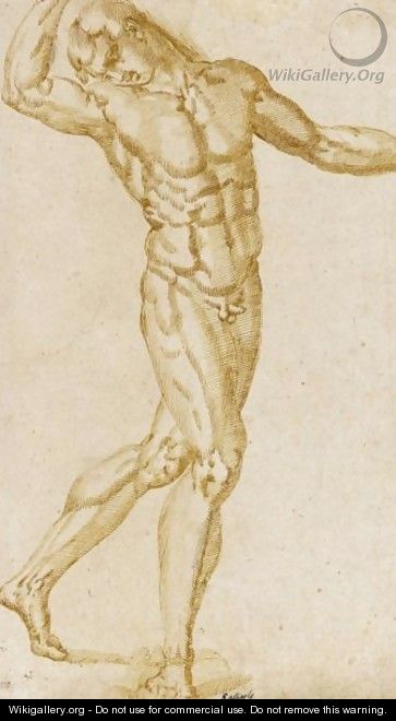 A Standing Male Figure - (after) Baccio Bandinelli